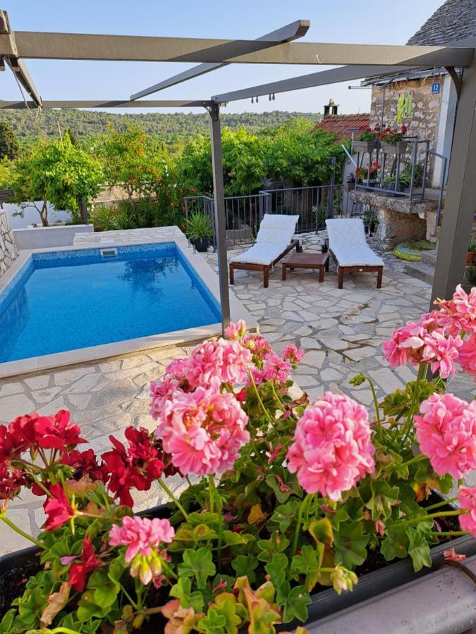 Apartments Tomina Donje Selo na Solti ภายนอก รูปภาพ