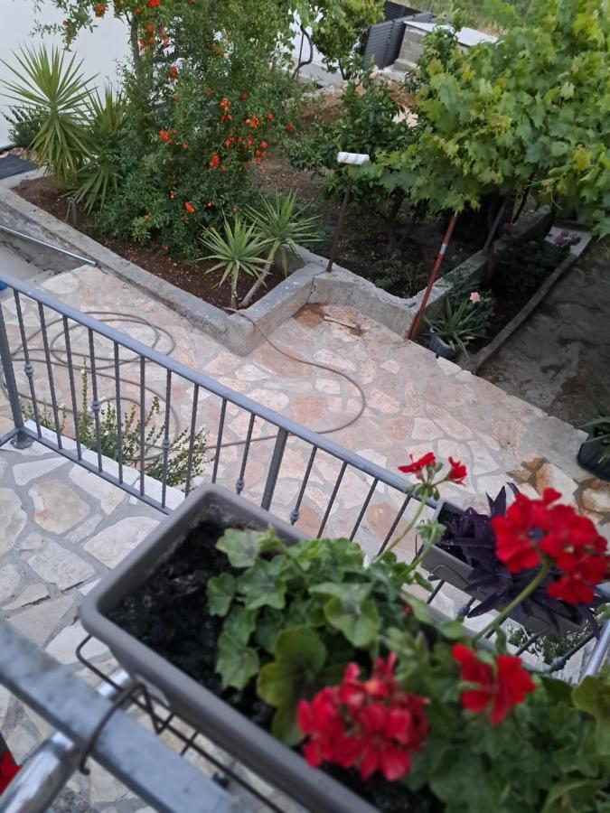 Apartments Tomina Donje Selo na Solti ภายนอก รูปภาพ