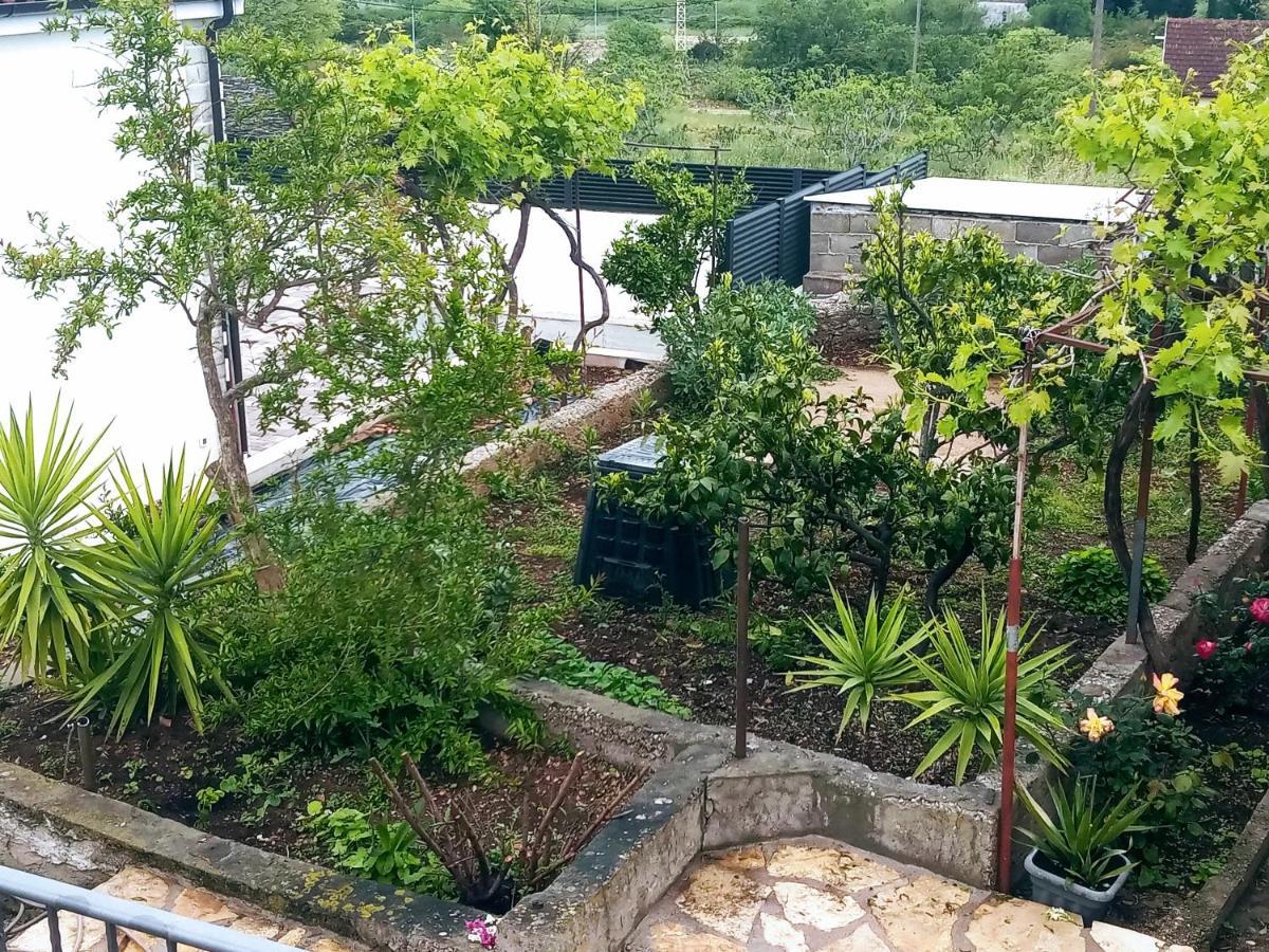 Apartments Tomina Donje Selo na Solti ภายนอก รูปภาพ