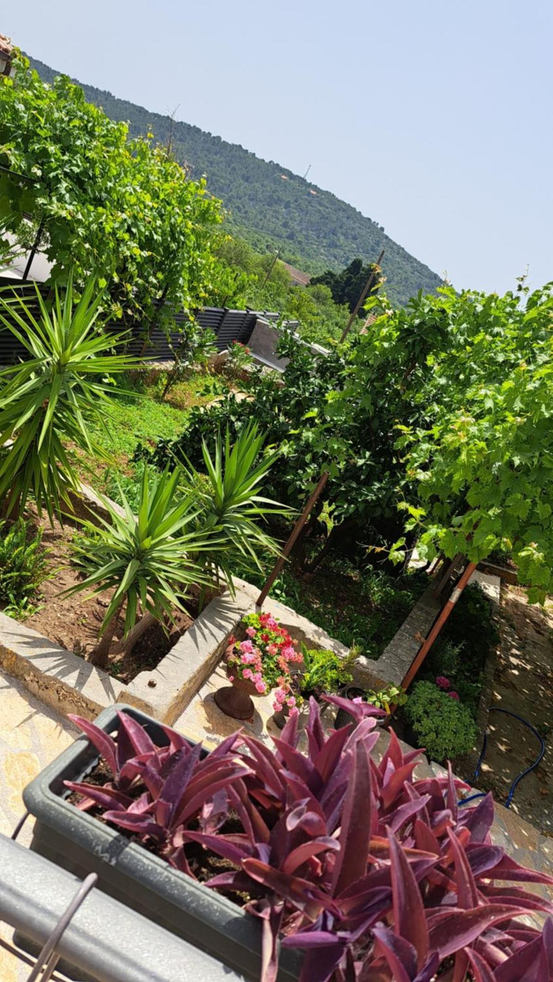 Apartments Tomina Donje Selo na Solti ภายนอก รูปภาพ