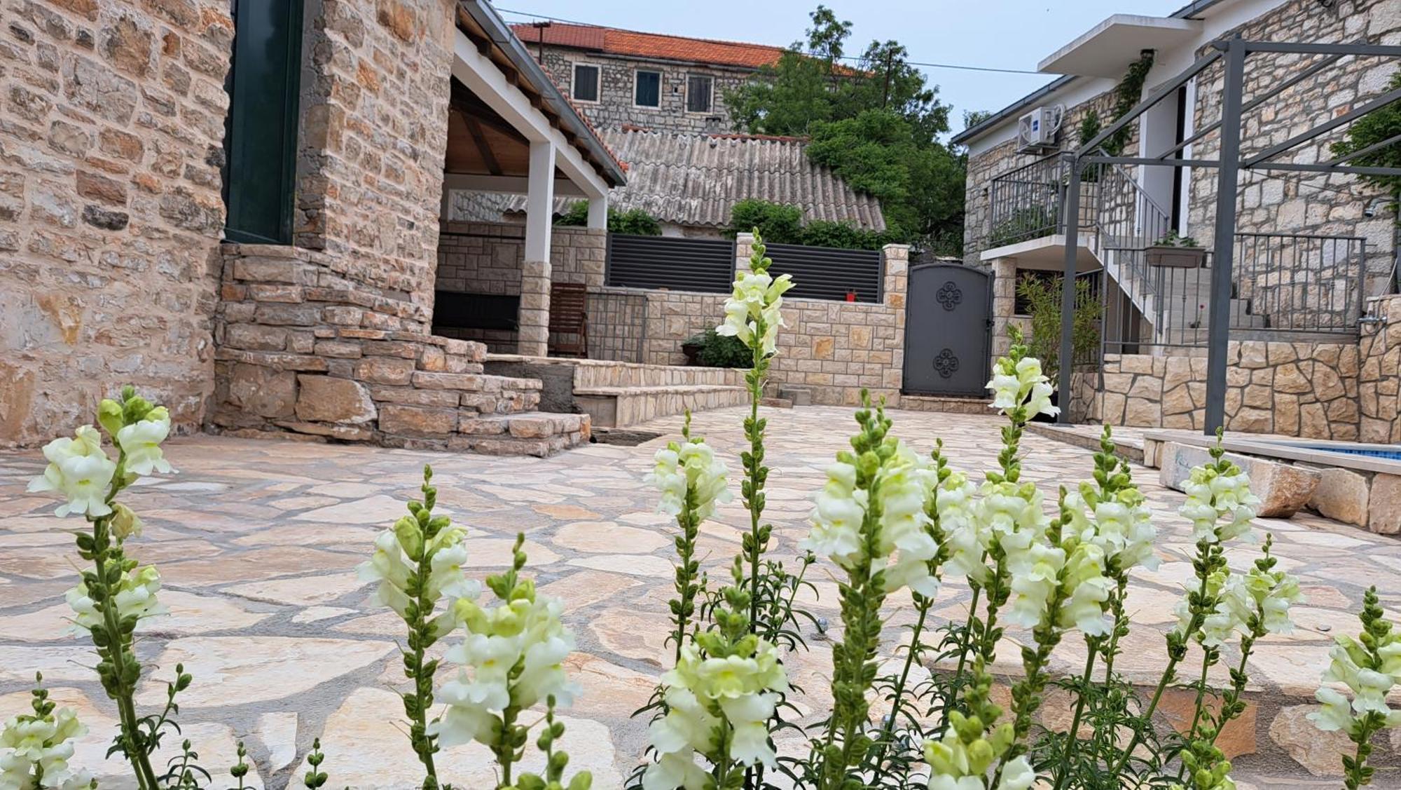 Apartments Tomina Donje Selo na Solti ภายนอก รูปภาพ